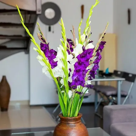 Manganowa By Renters Wroclaw