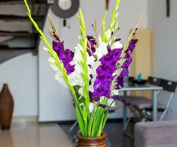 Manganowa By Renters Wroclaw